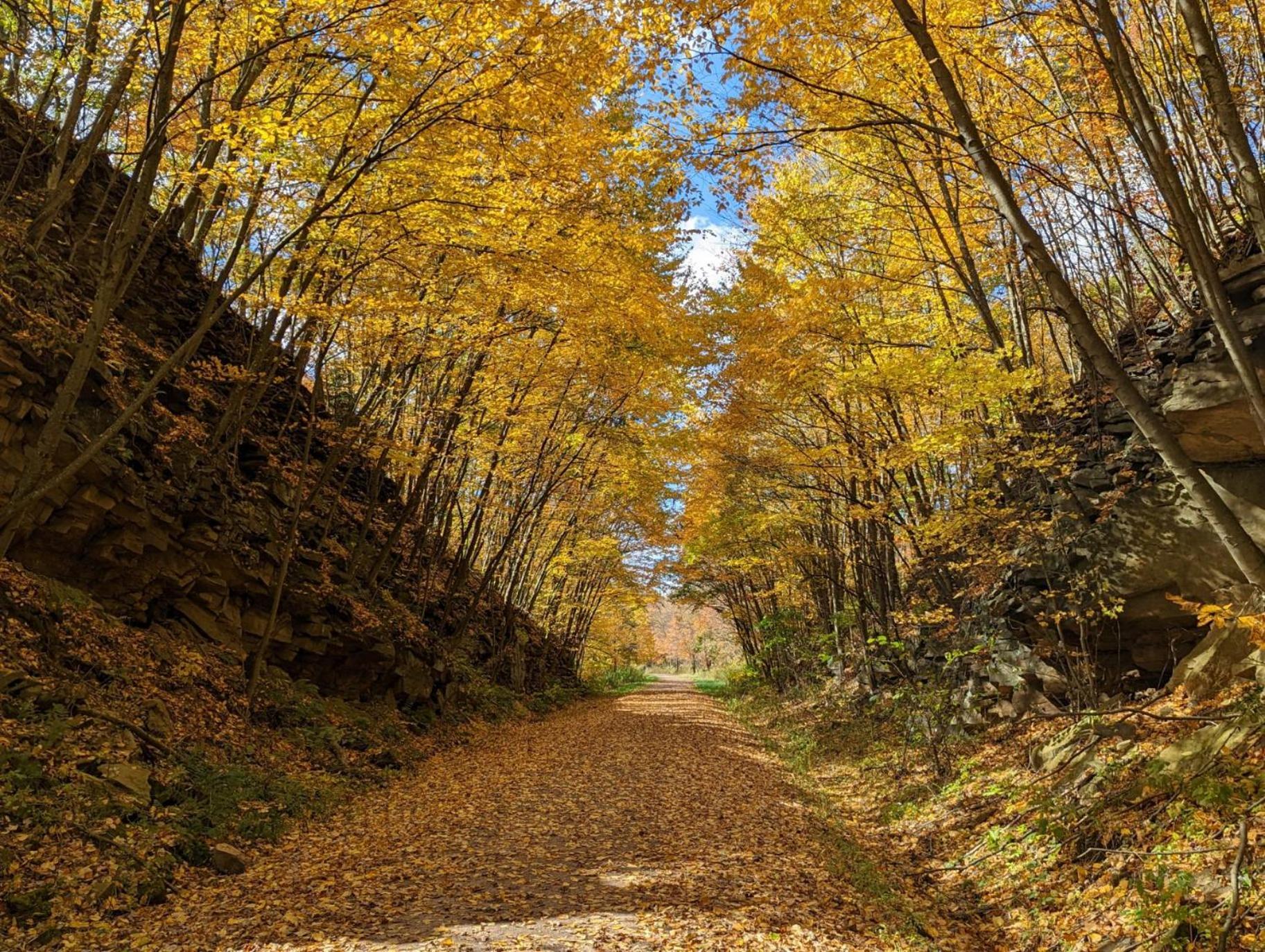 Stay In Ohiopyle Near Gap Trail, Restaurants, & The Fallls Экстерьер фото